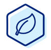 Icon 2